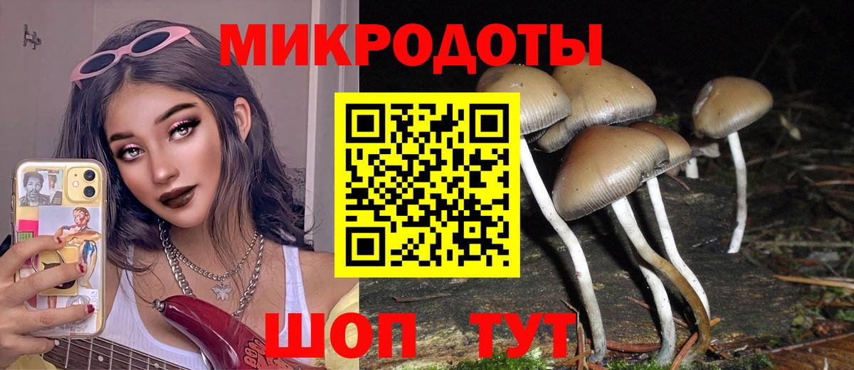 Псилоцибиновые грибы Magic Shrooms  Галлюциногенные грибы мухоморы  Вход с VPN  Россия 